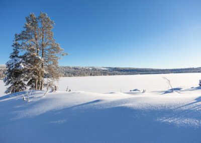 Trysil-Knuts Fjellverden Øst - Eltsjøen - Eltdalen - Utsikt fra gapahuken